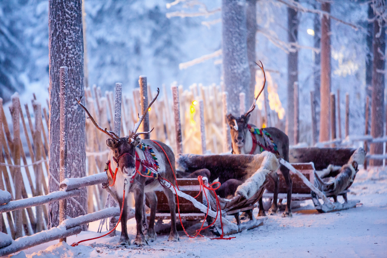 Z Prahy do Rovaniemi na nové přímé lince od 3 748 Kč